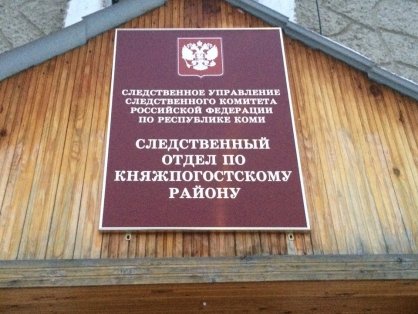 В Княжпогостском районе завершено расследование уголовного дела по обвинению подростка в мошенничестве в составе организованной группы